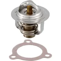 RMS Beauty Piaggio Porter 1.0 100120730 Thermostaat
