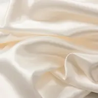 Silk Heaven 2x Zijden Kussensloop 50x70cm Ivoor Ritssluiting 22 Momme - Kussensloop set - Luxe Silk Kussensloop 100% moerbei zijde - Zijde kussensloop - - 50x70cm / Ritssluiting