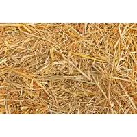 Eckhardt Stro 1 kilo (30 liter)