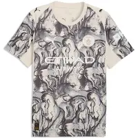 Puma Manchester City Fc Year Of The Horse Replica Short Sleeve T-shirt Grijs S Man