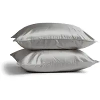 Silk Heaven 2x Zijden Kussensloop 80x80cm Licht Grijs Hotelsluiting 19 Momme - Kussensloop set - Luxe Silk Kussensloop 100% moerbei zijde - Zijde kussensloop - - 80x80cm / Hotelsluiting