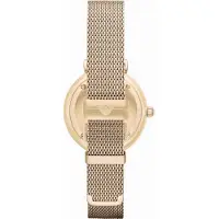 Giorgio Armani Emporio AR1957 Retro Gold Ladies Watch
