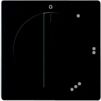 Busch Jaeger Centraalplaat | Busch-Jaeger | Future Linear | 3 standen (Zwart)