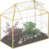 Relaxdays plantenterrarium, glas en koper, afmetingen: 27x30x15 cm. Decoratief glazen huis voor cactussen en mos, glazen kasten voor vensterbanken, goudkleurig