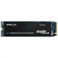 PNY Hard Drive M280CS1030-250-RB