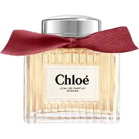 Chloé Eau de Parfum Intense 100ml | Dames Parfum