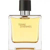 Hermès Paris - Terre D’Parfum - 75 ML