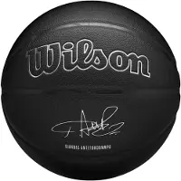 Wilson Electronics NBA-speler Giannis Basketbal Maat 7 - Duurzaam & Officieel