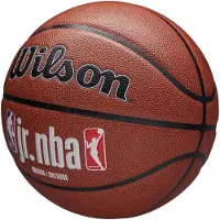Wilson Jr NBA Fam Basketbal Maat 6 Binnen/buiten