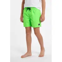 Quiksilver - Kid's Everyday Solid Volley 14'' - Zwembroek 158/164, groen