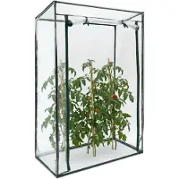 Relaxdays tuinkas tomaten, tomatenhuis, broeikas, tomaten kweken, groen, kas PVC