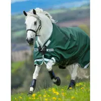 Horseware Original Turnout Lite met beenuitsparingen 0g-Green Silver-115-165