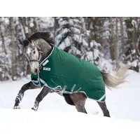 Horseware Original Turnout Heavy met beenuitsparingen 400g - Groen - 130-183 cm