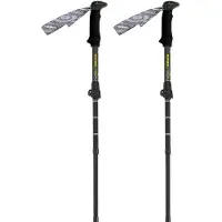 Gabel Mont Blanc 4.0 Stokken Zilver 66-141 cm