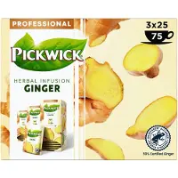 Pickwick Professional Gember Thee Cafeïnevrij 25 Theezakjes