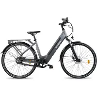 Sharp Urban elektrische stadsfiets 12.8Ah 28 inch grijs