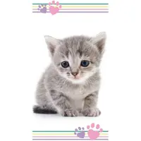 Super Merchant Strandlaken Kitten - 70 x 140 cm - Katoen