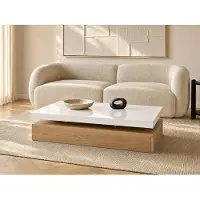 Vente-unique Salontafel FELIX - 2 lades - MDF - Kleuren: Eik en wit
