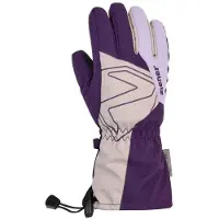 Ziener Laval As Handschoenen
