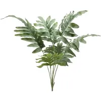 Buitengewoon Boet Kunst Phlebodium bush grey/ green 67 cm