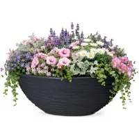 Gardalux Plantenschaal | | 51 x 23 x 20 cm
