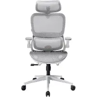 Sihoo B100 Pro Ergonomische Bureaustoel - 4D Adaptieve Dynamische Lumbale Steun - 3D Extra Brede Hoofdsteun - 4D Ophoudbare Armsteunen - Grijs