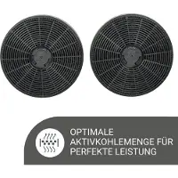 Respekta Koolstoffilter MIZ1110 / MIZ 1110