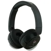 U.S. POLO ASSN. US POLO Bluetooth oordopjes. Model: USHPV6PUNK. Kleur: zwart. Logo: DH
