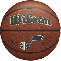 Wilson Basketbal