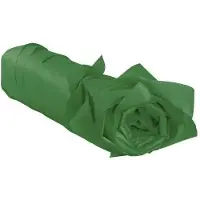 RAJA Vloeipapier Donkergroen 500 mm (B) x 0,75 m (L) 70 g/m² 480 Stuks