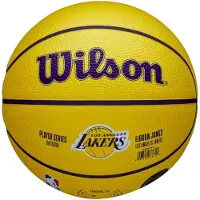 Wilson NBA LeBron James Mini Basketbal Maat 3 - Pictogram voor officiële speler