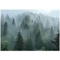 WALLARENA - Fotobehang - 300x210 cm - 3D natuur met bomen in de mist voor slaapkamer en woonkamer