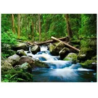WALLARENA - Fotobehang - 200x140 cm - 3D waterval bos natuur voor slaapkamer woonkamer muurbekleding