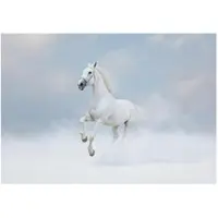 WALLARENA - Fotobehang - 250x175 cm - witte paard met wolken, dieren voor slaapkamer en woonkamer