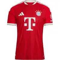 Adidas Tricot 'FC Bayern München 26/27 Authentic' rood / bordeaux / wit
