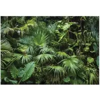WALLARENA - Fotobehang - 150x105 cm - Dschungel, tropisch, bladeren, slaapkamer, woonkamer