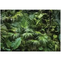 WALLARENA - Fotobehang - 350x250 cm - Dschungel, tropisch, bladeren, slaapkamer, woonkamer