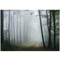 WALLARENA - Fotobehang - 300x210 cm - natuur landschap fototapet voor slaapkamer en salon van vliesbehang