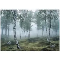 WALLARENA - Fotobehang - 300x210 cm - 3D natuur met mist, ideaal voor slaapkamer en salon