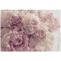 WALLARENA - Fotobehang - 400x280 cm - Fototapete met roze pioenrozen voor slaapkamer en woonkamer