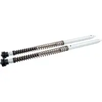 Öhlins Nix30a Ducati Desert X 2022-25 Fka 117 Set Vorkveren