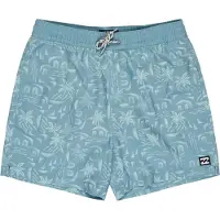 Billabong Vacay Zwembroek