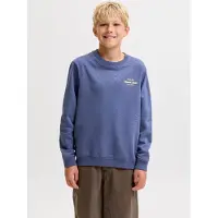 Jack & Jones Sweat 12309118 jornorre