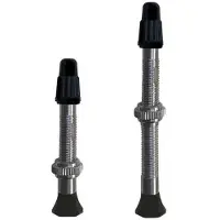 Vittoria Paar Singleway Presta Tubeless ventielen Zilver || Maat: 60 mm
