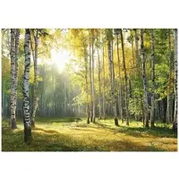 WALLARENA - Fotobehang - 200x140 cm - 3D bos landschap met bomen, natuur, groen voor slaapkamer en woonkamer