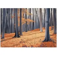 WALLARENA - Fotobehang - 300x210 cm - Fototapete met een bos, bomen en natuur voor de slaapkamer of woonkamer, vliesbehang