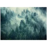 WALLARENA - Fotobehang - 200x140 cm - Fototapete van een bos in de mist, groen, voor slaapkamer en woonkamer, wanddecoratie