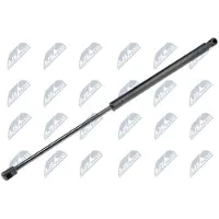 NTY AE-WW-011 Gasveer achterklep