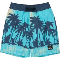 Quiksilver Everyday Printed Volley 13´´ Zwembroek