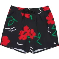 Quiksilver Stretch Printed Volley 16´´ Zwembroek